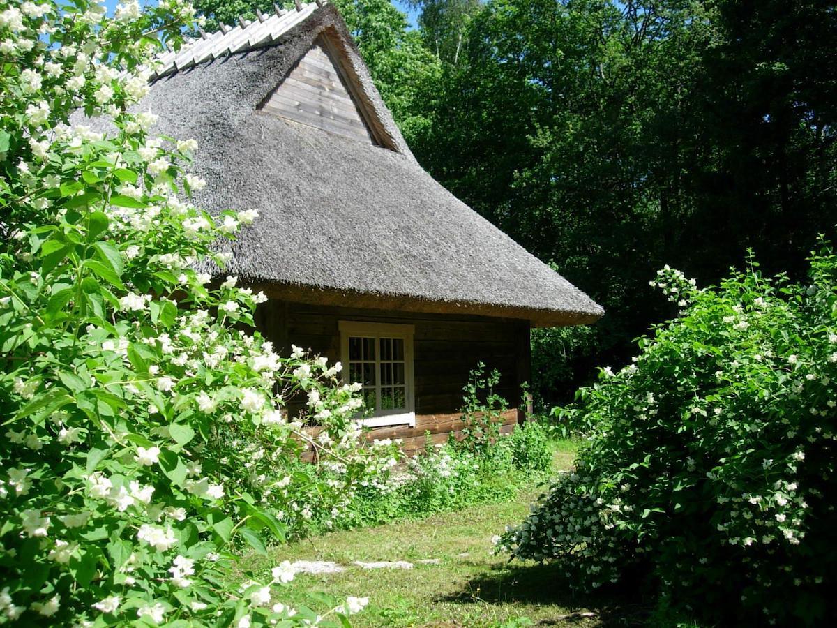 Kotka Farm Hotel Saarekula Luaran gambar